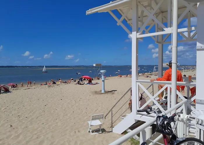 La Sylviale Feriehus Libourne